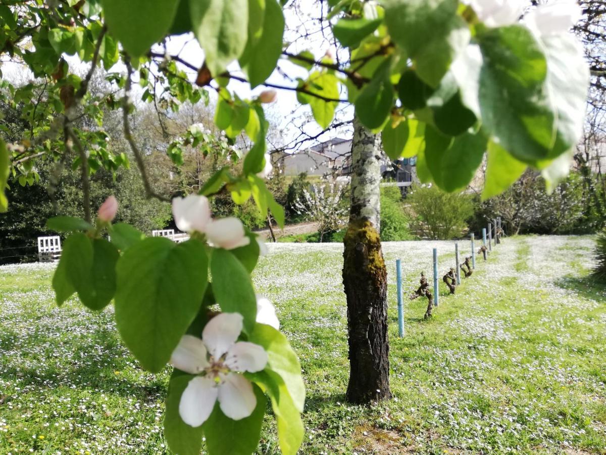 La Verrerie Gaillac Luaran gambar